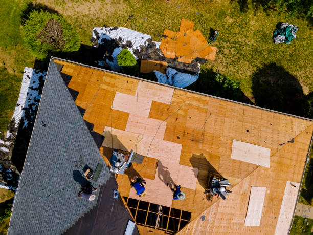 Best Roof Gutter Cleaning  in Sharon Center, OH